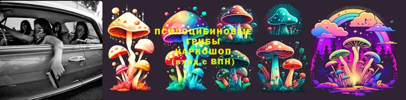 дарнет шоп  Елец  ссылка на мегу tor  Галлюциногенные грибы Cubensis 